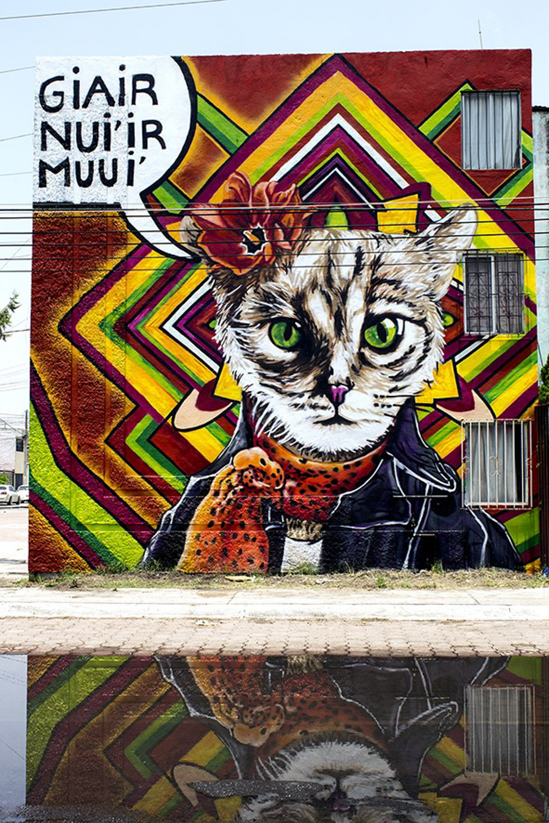 corazón, gato, esperanza, seguridad, ojos, calle, bienestar